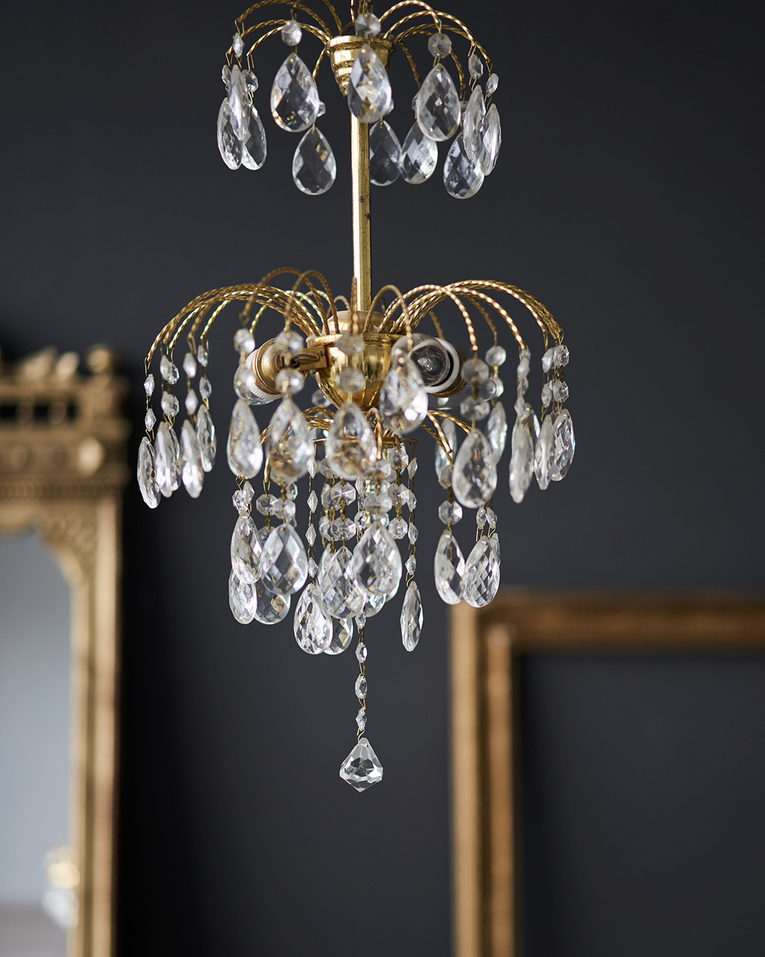 Контент для мастера по волосам. Лилия Павлова фотограф в Санкт-Петербурге Питер СПб Фотопрогулки Спб lilyincity