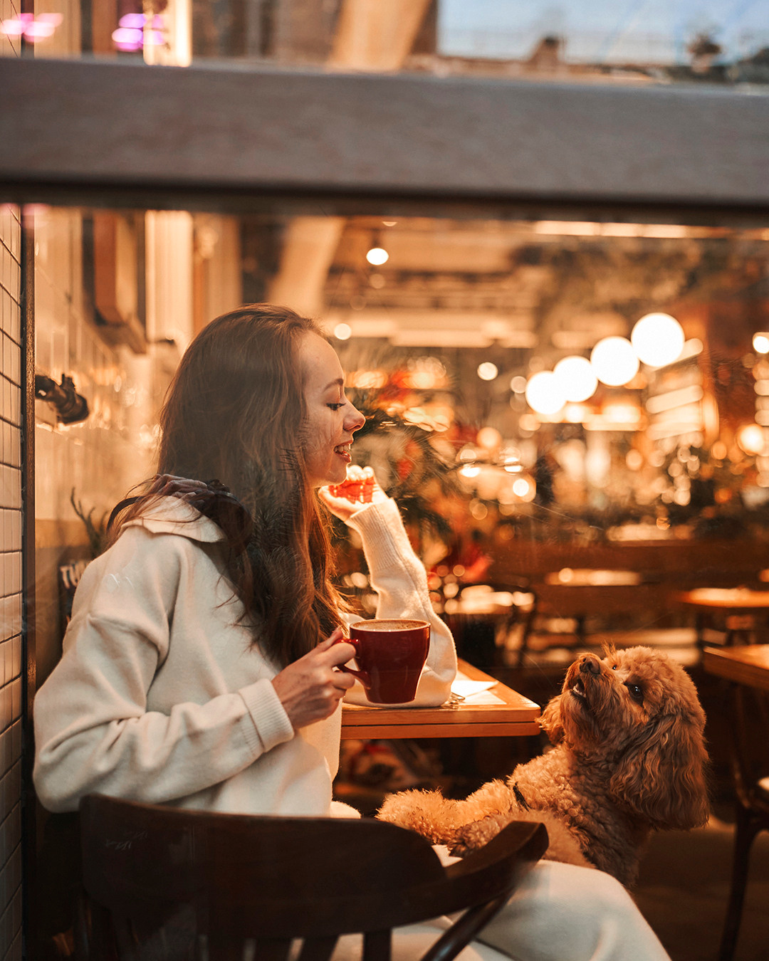 Новогодняя ярмарка. Лилия Павлова фотограф в Санкт-Петербурге Питер СПб Фотопрогулки Спб lilyincity