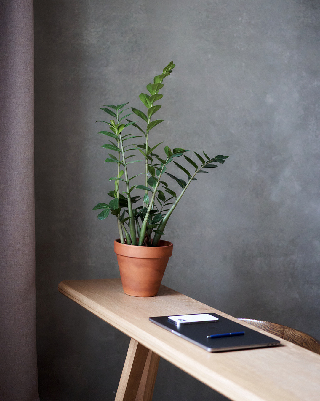 Блог Юрист. Лилия Павлова фотограф в Санкт-Петербурге Питер СПб Фотопрогулки Спб lilyincity