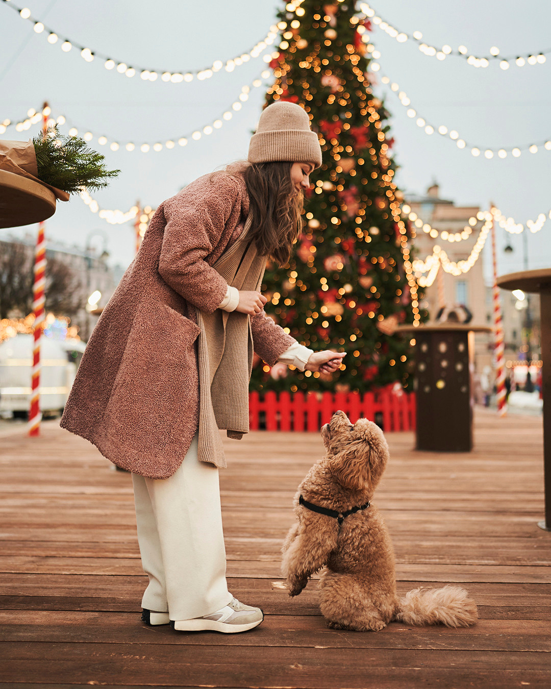 Новогодняя ярмарка. Лилия Павлова фотограф в Санкт-Петербурге Питер СПб Фотопрогулки Спб lilyincity