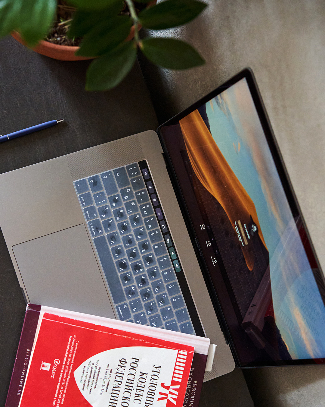 Блог Юрист. Лилия Павлова фотограф в Санкт-Петербурге Питер СПб Фотопрогулки Спб lilyincity