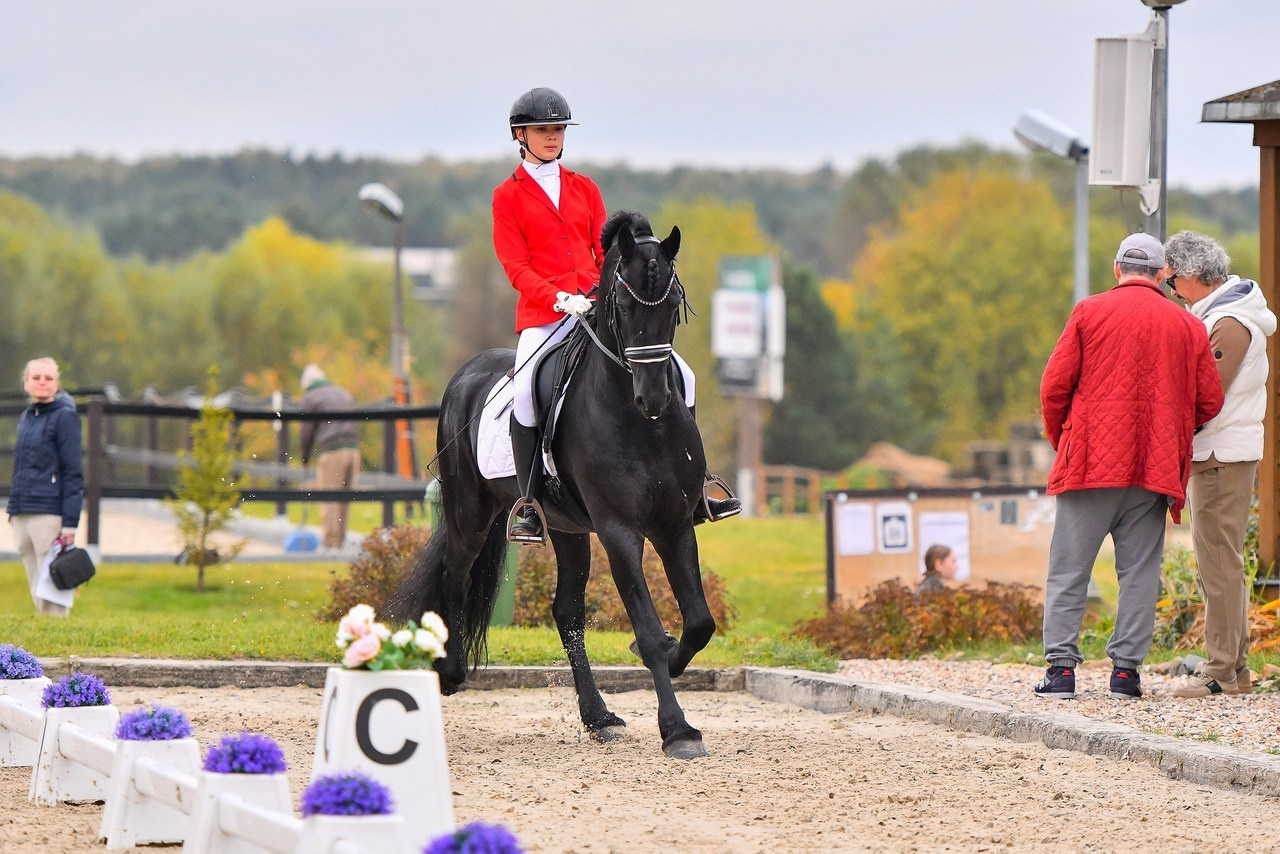Отзывы. ТУРНИРНАЯ КОННАЯ ФОТОГРАФИЯ, Руднева Ольга и Евгений Адеев