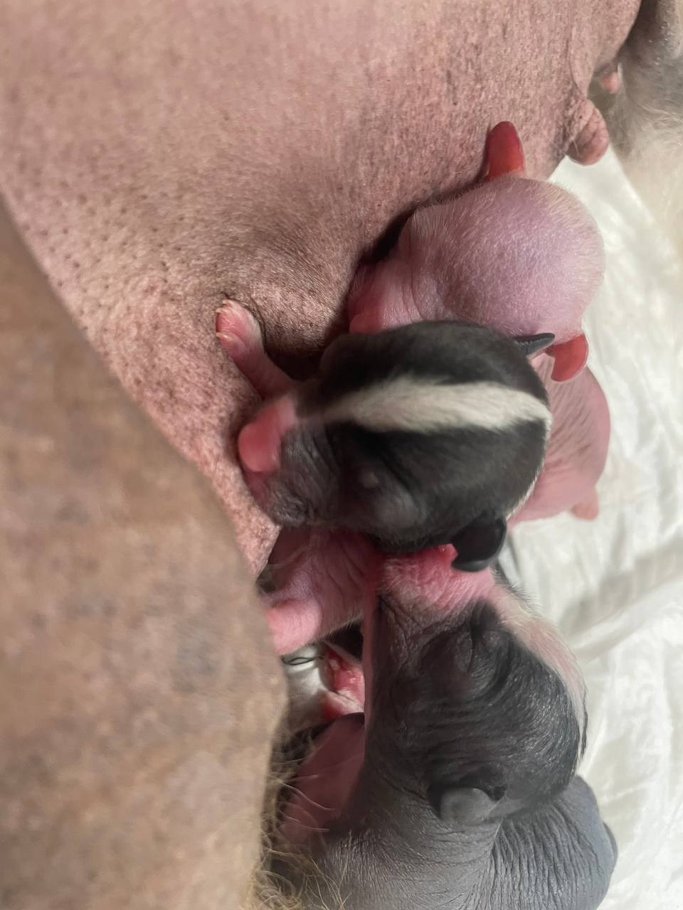 День Рождения