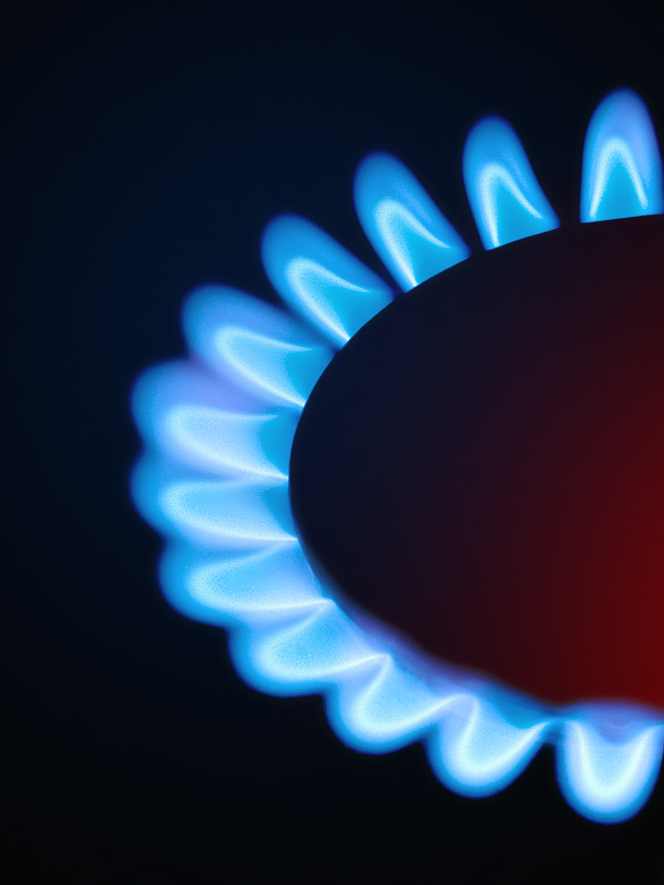 ПОРТФОЛИО. Фотограф Андрей Пономарёв