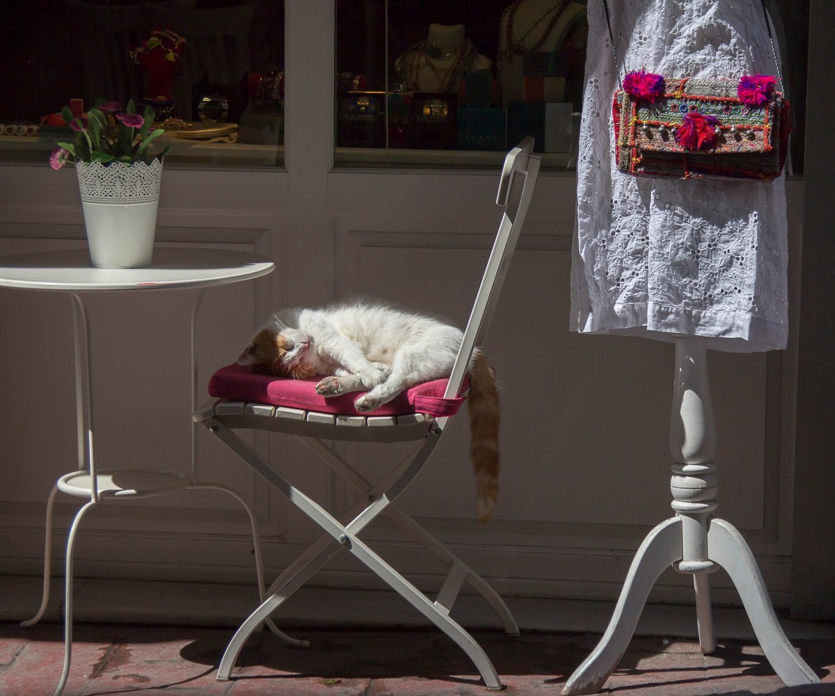 Стамбул, Турция, 2014. Фотограф Василий Буланов