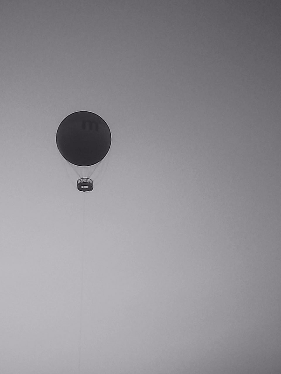 «Крошка 🐣». Anita_photo