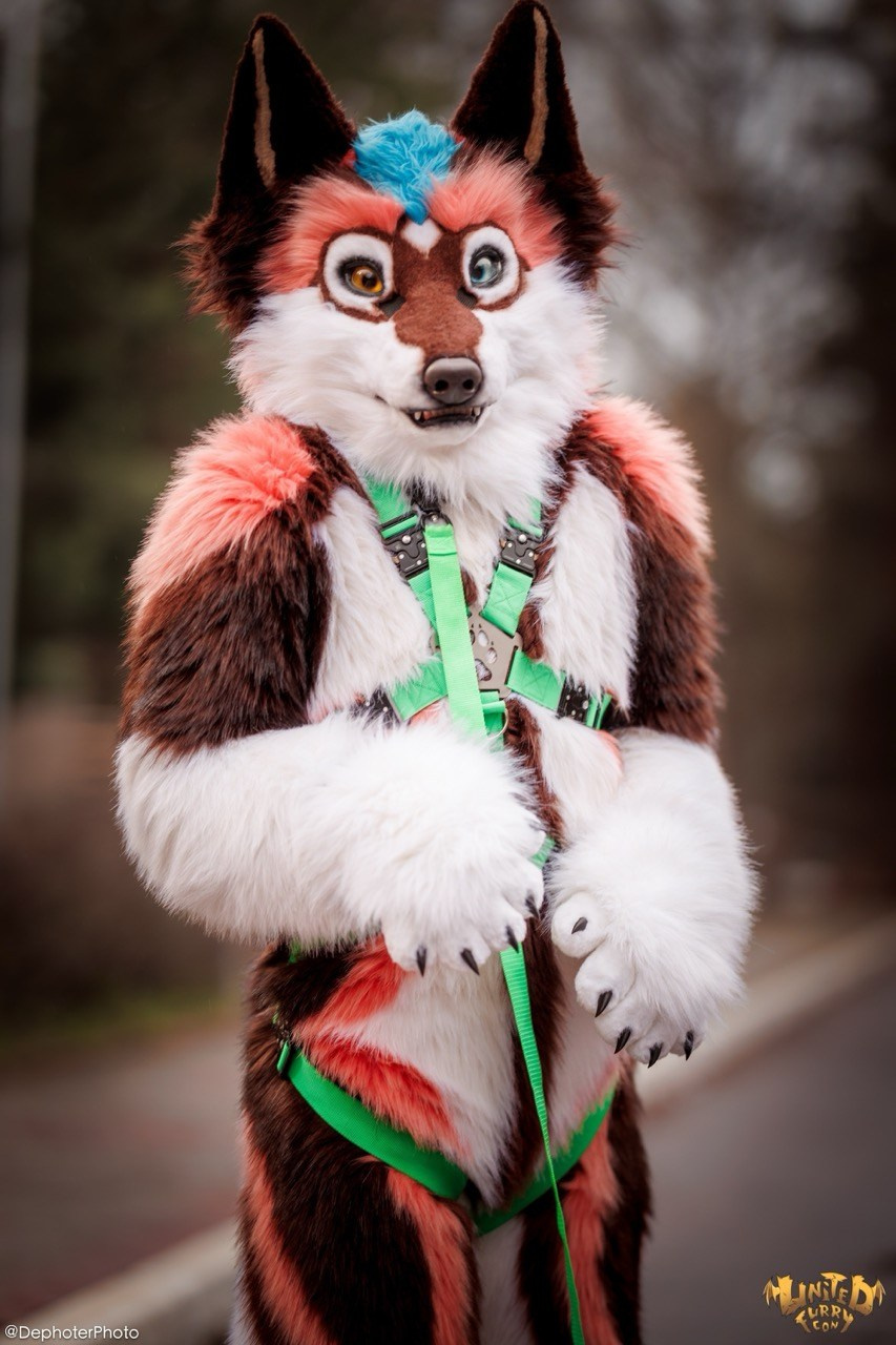 United Furry Convention 2026. Различные мероприятия и просто фотографии людей