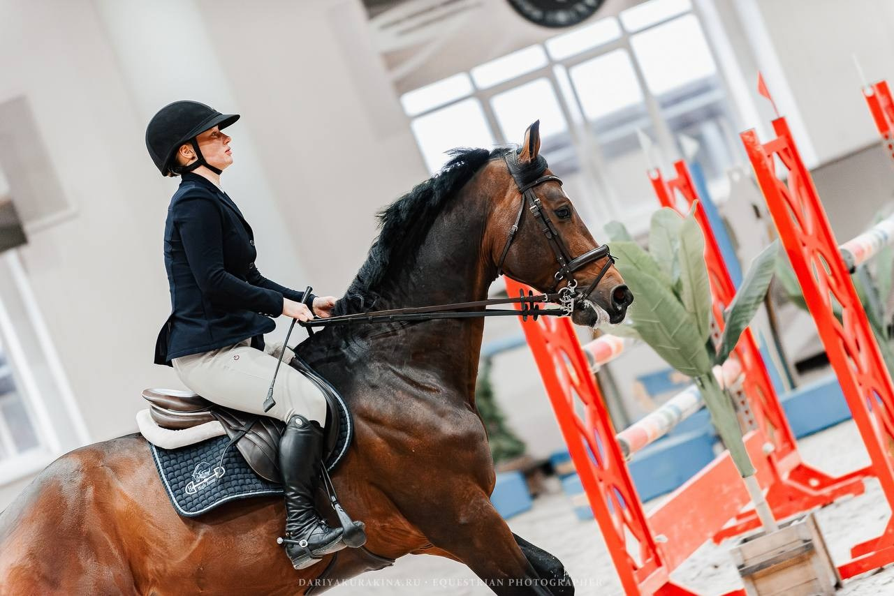 ЗИМНИЙ КУБОК ФЕДЕРАЦИИ КОННОГО СПОРТА ГОРОДА МОСКВЫ. Куракина Дарья • Конный фотограф