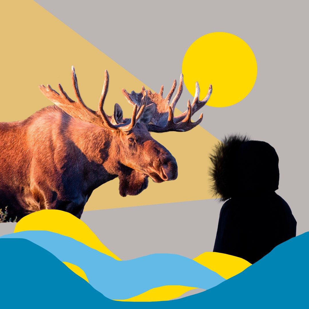 Коллажи из фотографий. Колентеева Наталья/фотограф