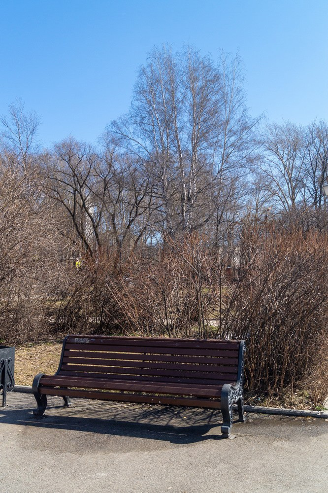 заказать фотосессию в Перми
