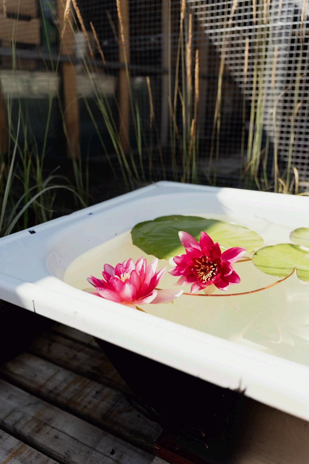 Наталья. Виктория Саханкова — портретный и семейный фотограф в Москве