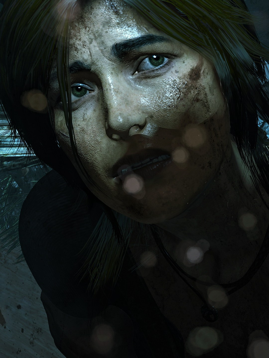 Rise Of The Tomb Raider. Для скриншотов