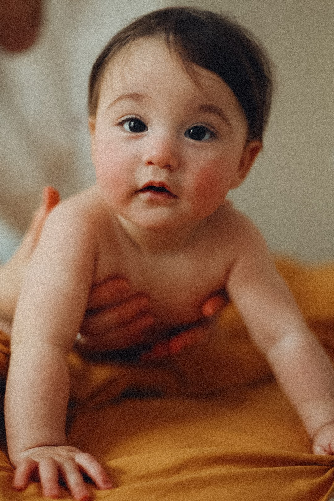 Family. Фотограф Нижний Новгород