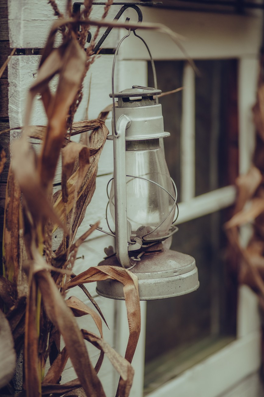 ЛИЗА И ЕЛИСЕЙ. Фотограф Дарья Хрипач