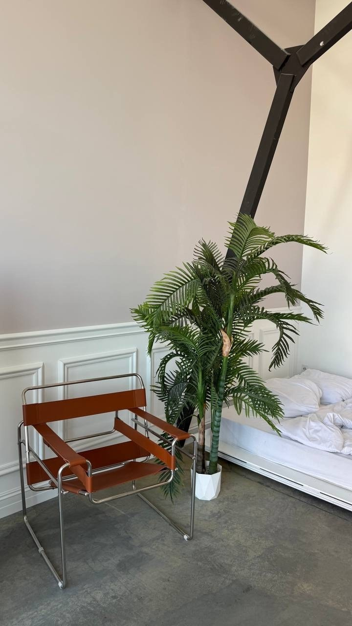 Фотостудии