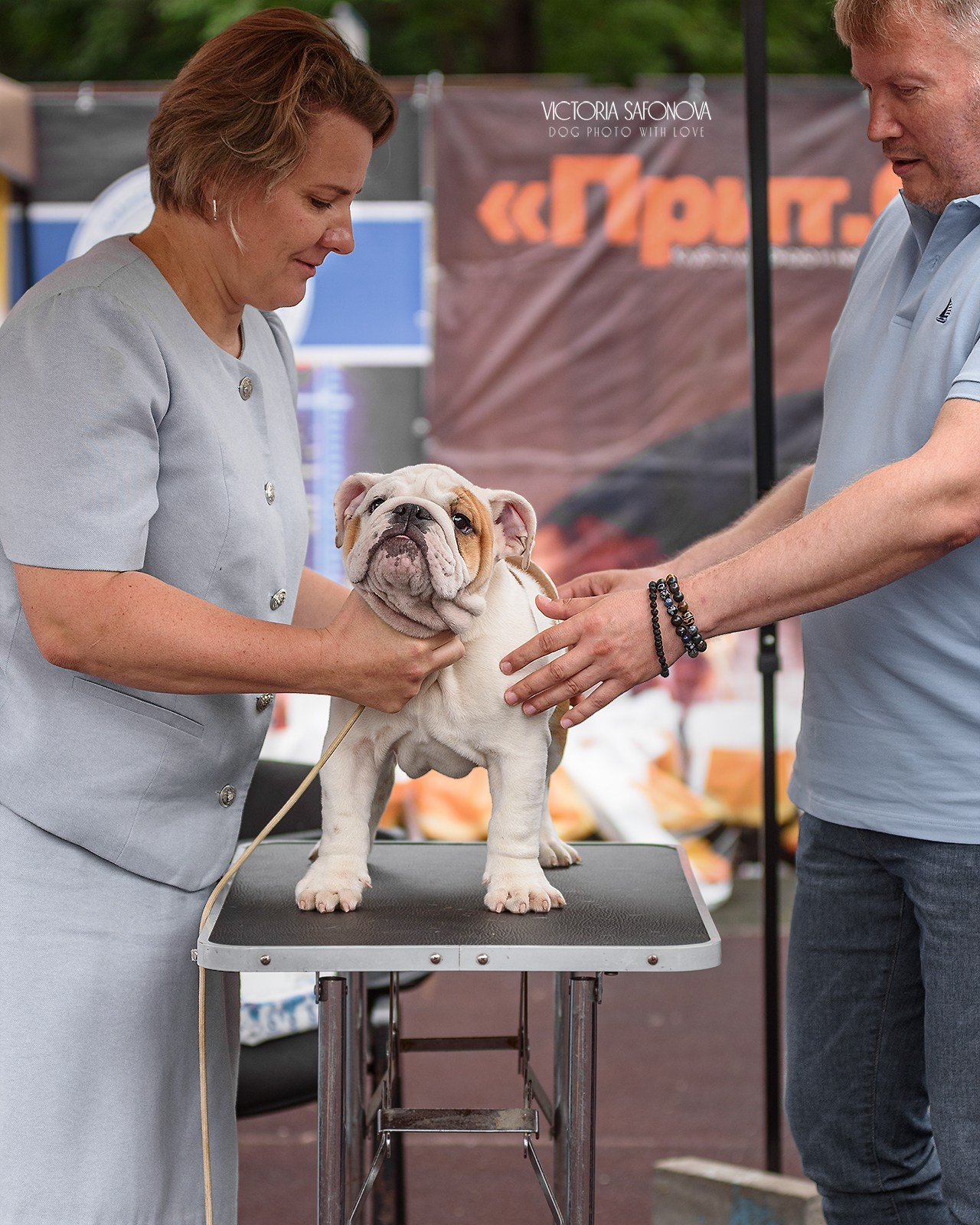 10 августа 2024. Благовещенск. Фотограф анималист Благовещенск. Сафонова Виктория