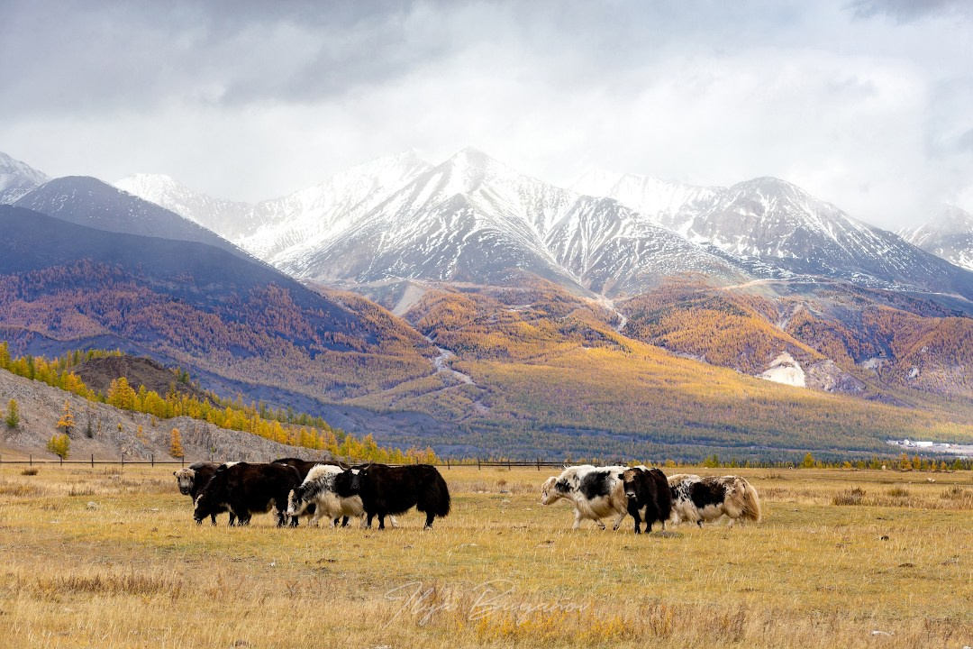 Окинский р-н Бурятии. Илья Буянов, гид по Байкалу, фотограф — baikalsky.com
