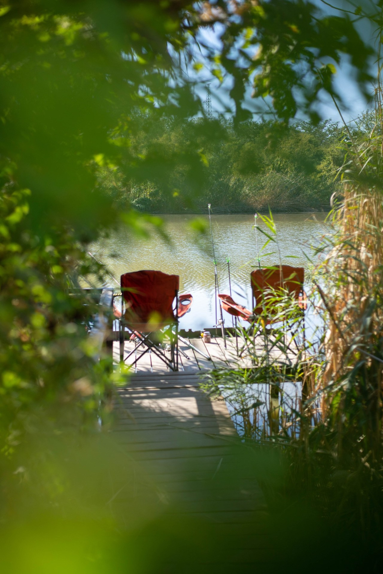 Отзывы. Фотограф — Анастасия Хохлачева