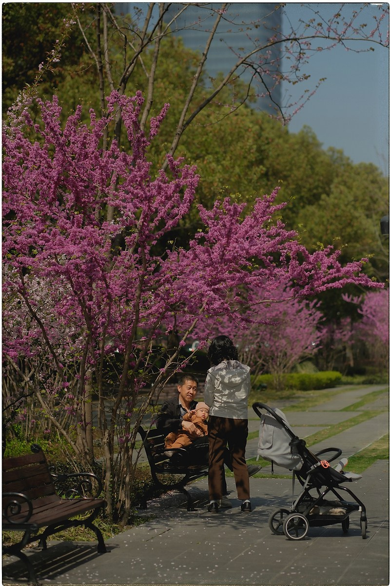 Китай. Портретный и репортажный фотограф в Санкт-Петербурге Дарья Сибирякова