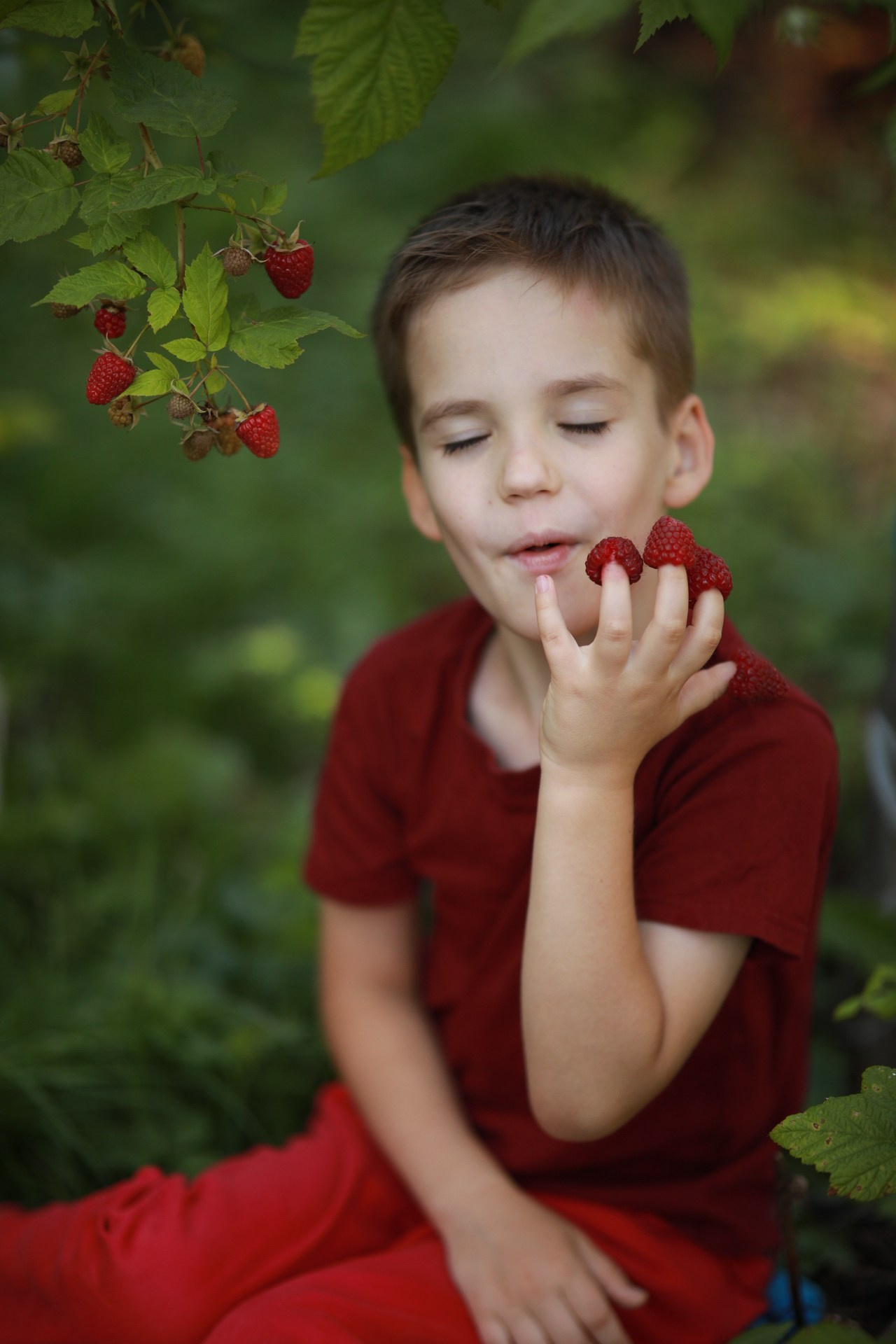 Ягода-малина. Фотограф Юлия Рязанова Москва семейный и детский