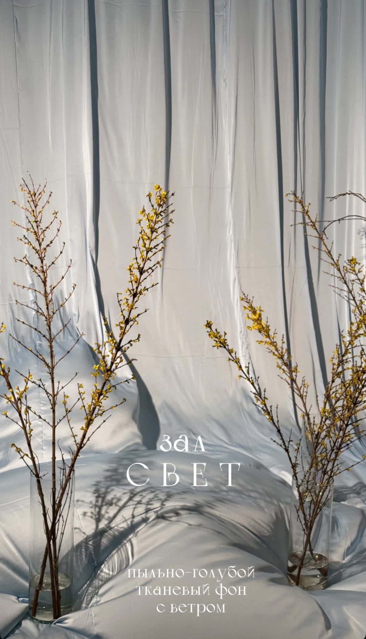 Фотостудия МОХ зал Свет. Фотограф Настя Лев