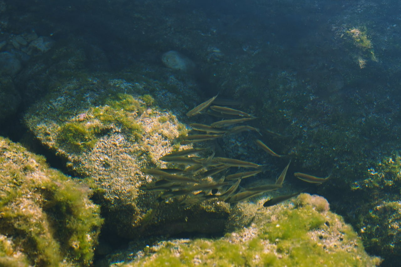 ликийская тропа