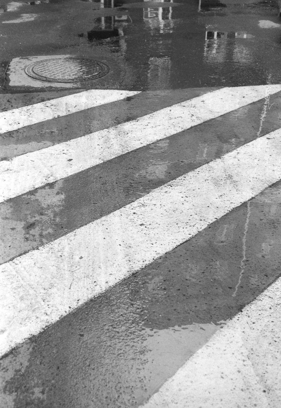 Выставка «Строчка за строчкой. Хокку глазами фотографов». Фотограф Юлия Близнецова