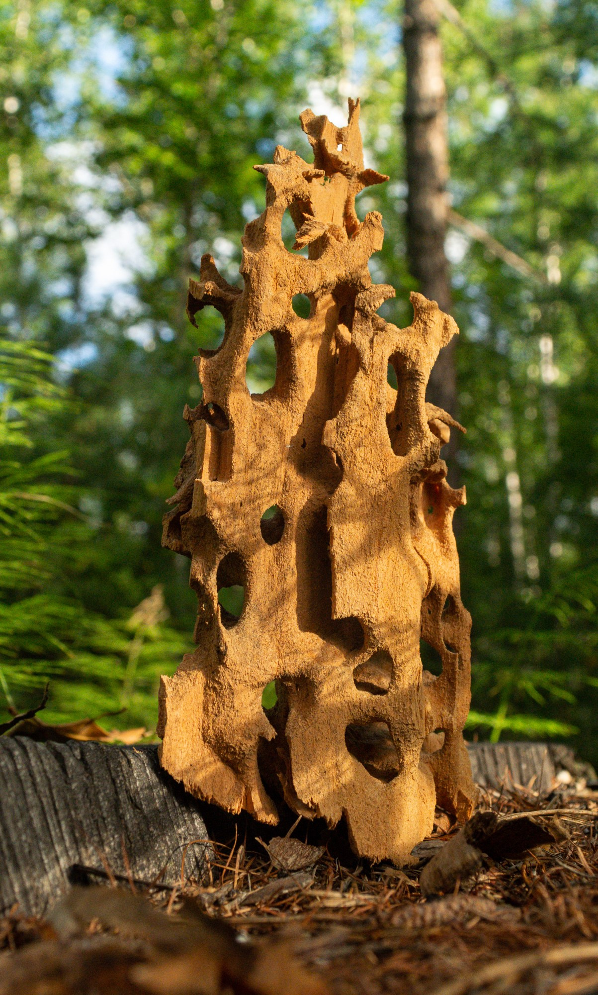 Разное. Репортажный фотограф г. Чита