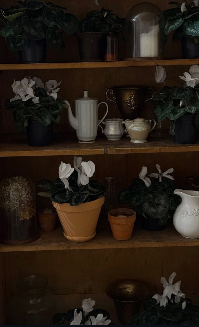 Фотостудия МОХ зал «Туман». Свадебный фотограф в Ростове Александра Груздева