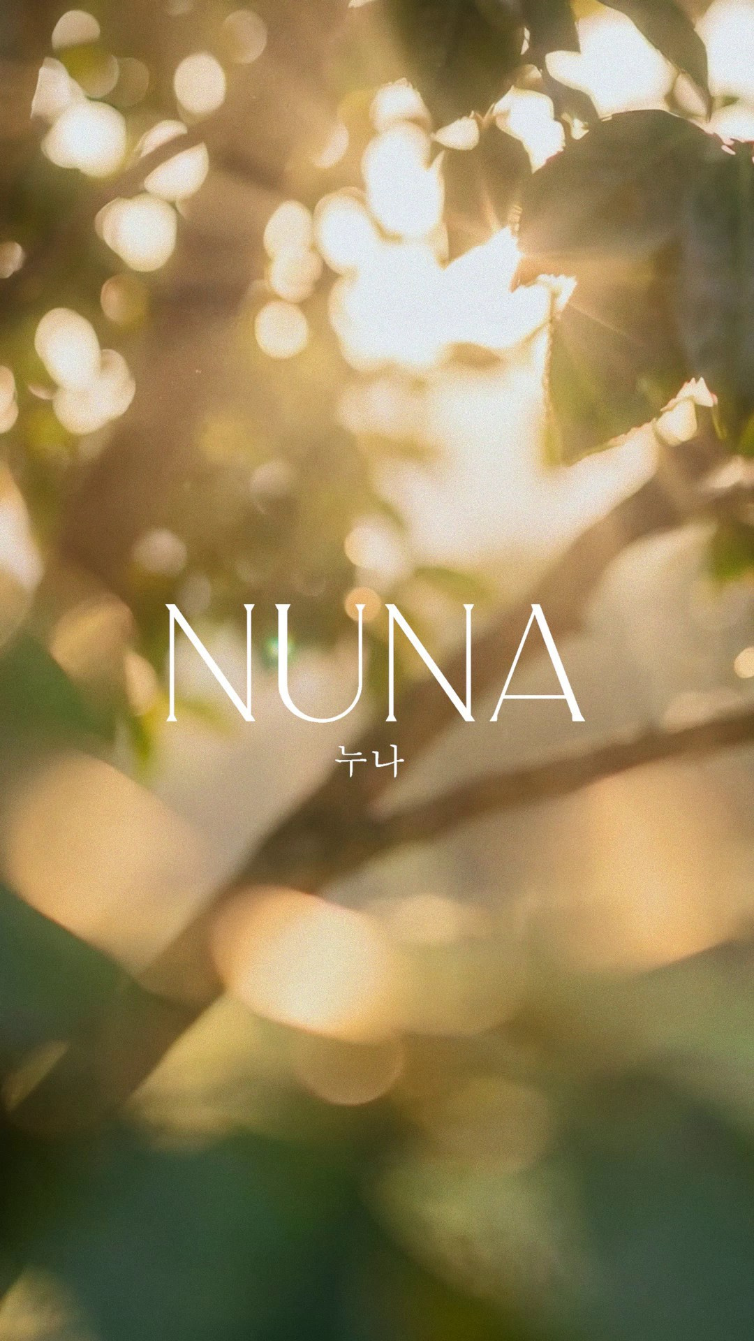 Fashion ai-creator for brands