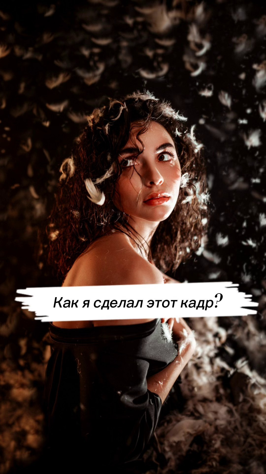 Перья. Александр Атлес Фотограф