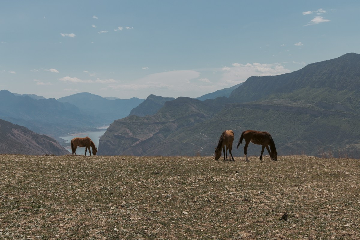 Животные. Photomantis