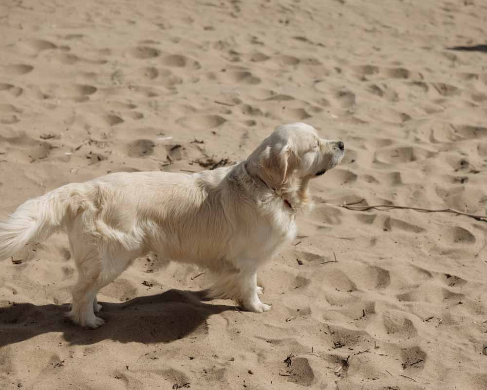 Любовь и ветер. Владимир Киселев — свадебный фотограф в Саратове, Москве и по всему миру