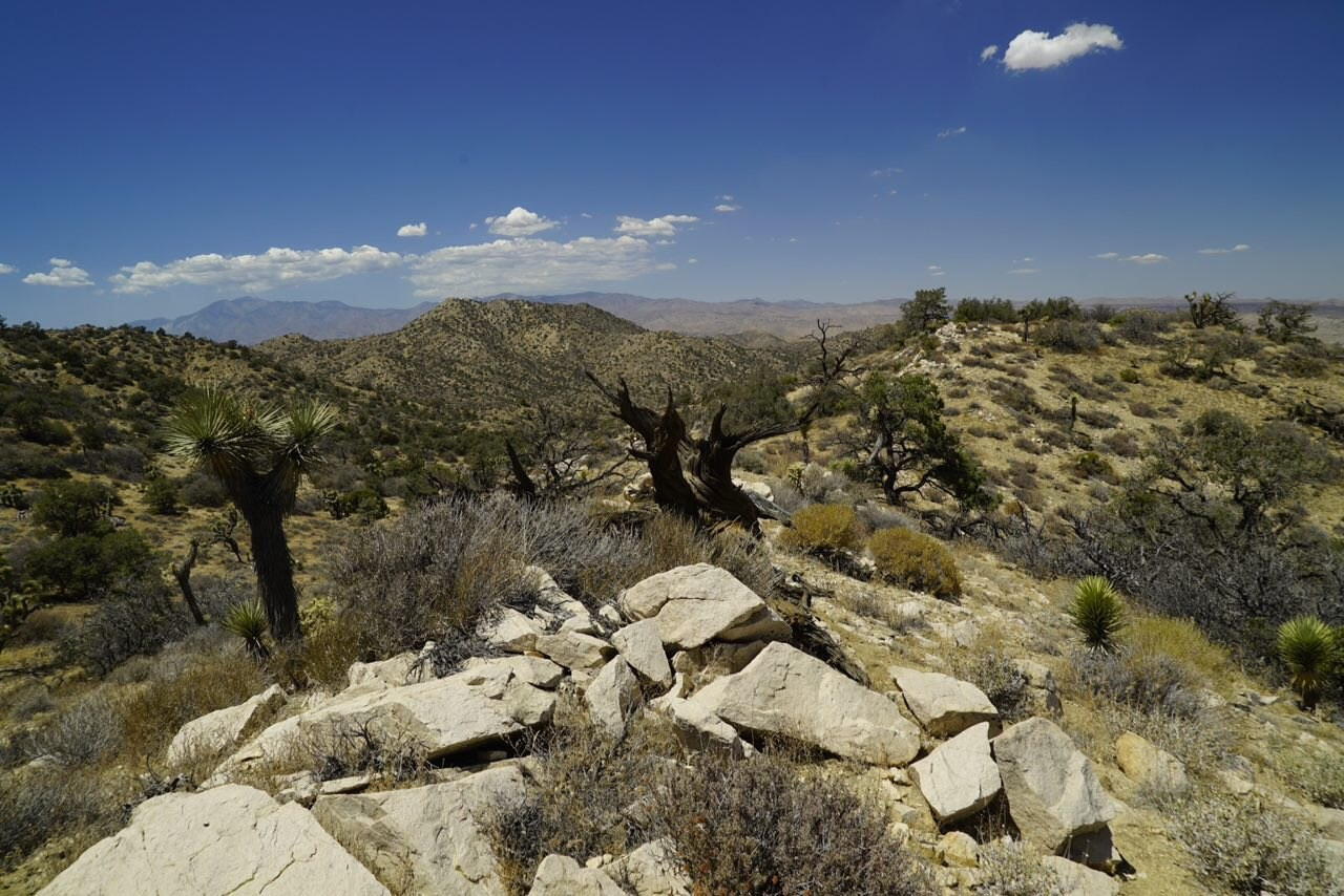 Природа. Василий Буйлов|Vasilii Builov