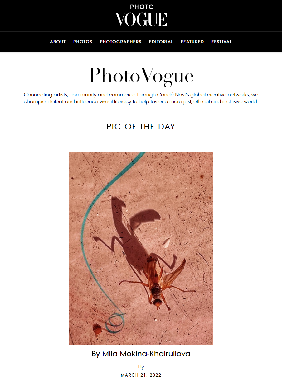 PUBLICATIONS. Фотохудожник Мила Мокина-Хайруллова. Екатеринбург