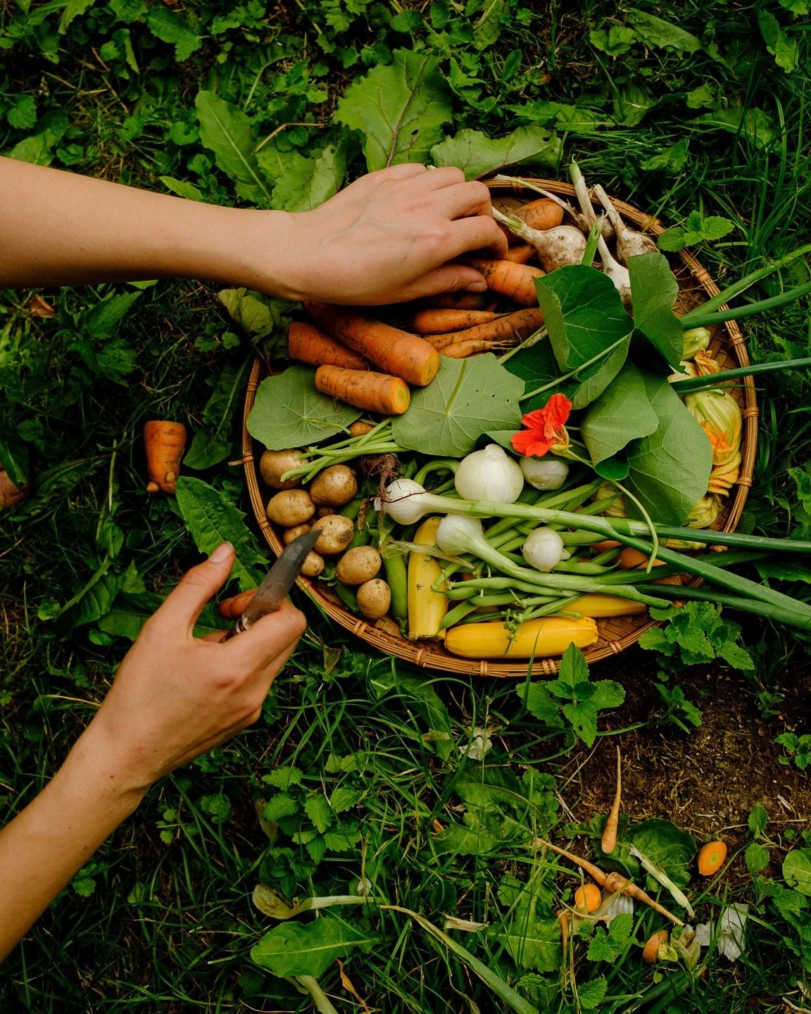 Фотограф Павел Краснов