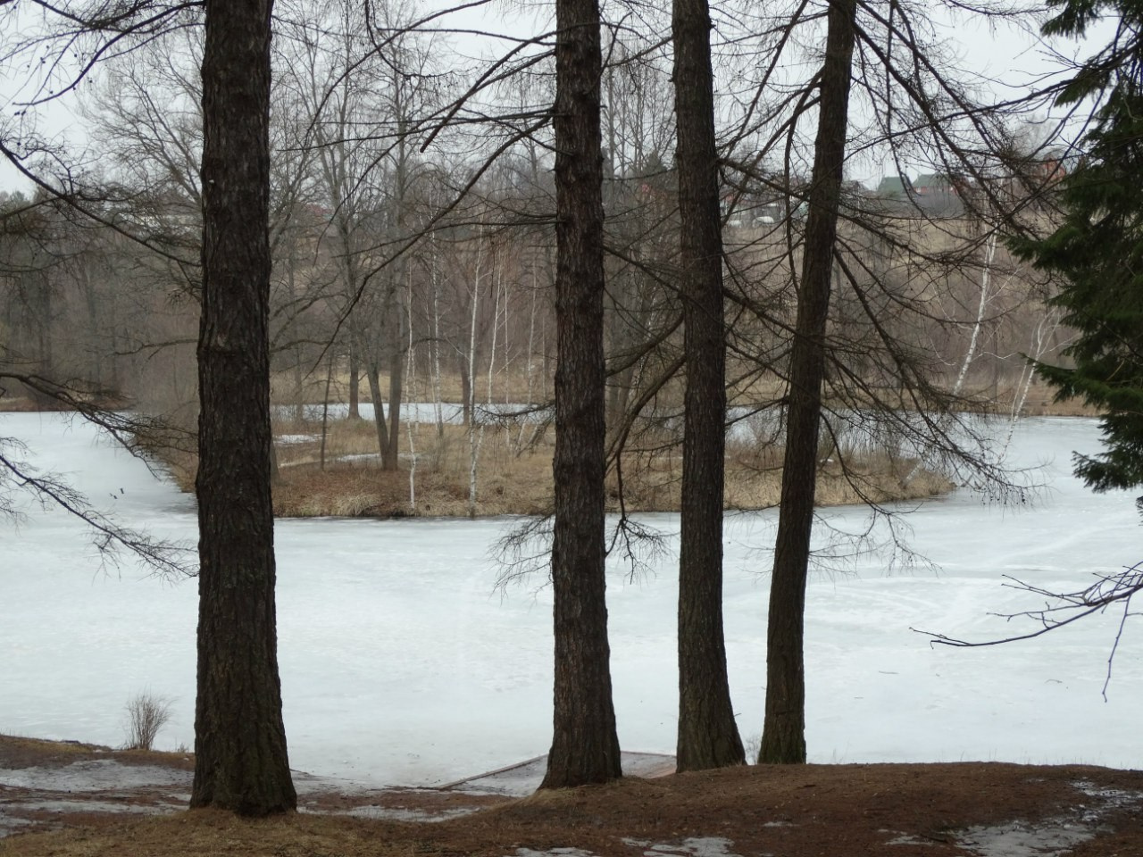 Середниково — Piligrim Porto — Братцево — Сходненская чаша | 09.04.2016. Галерея Фантим
