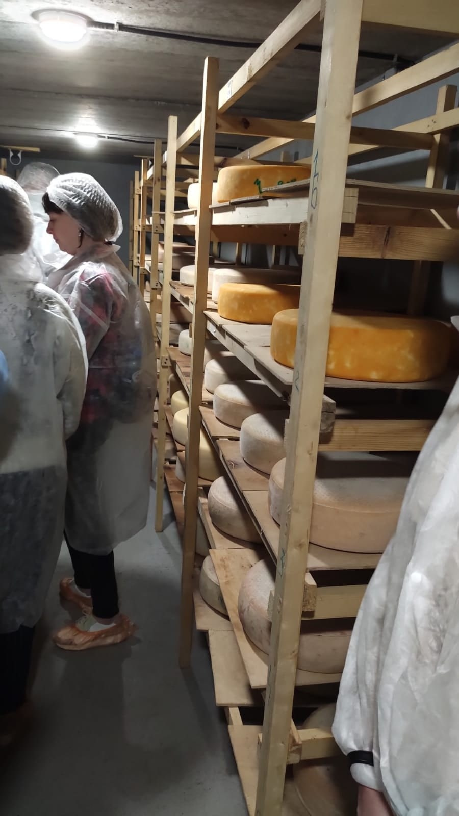 Тюмень | 11-13.06.2022. Галерея Фантим