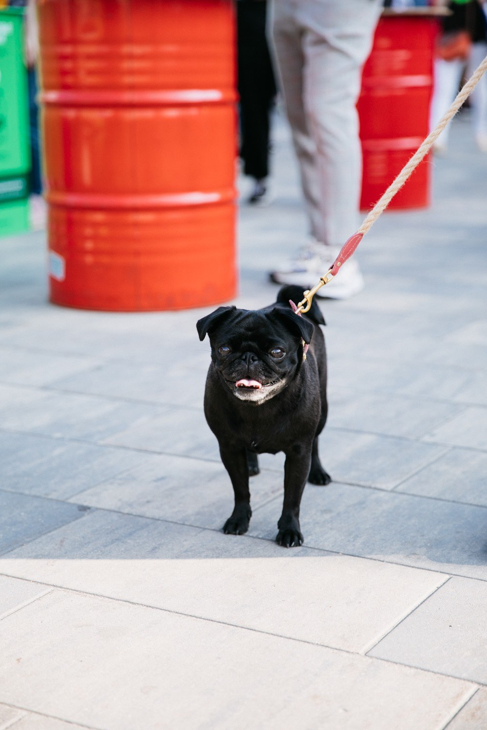 8 сентября 2019 POP-UP на Даниловском рынке / фото Жора Сирота. Фотоотчеты «Ламбада-маркета»