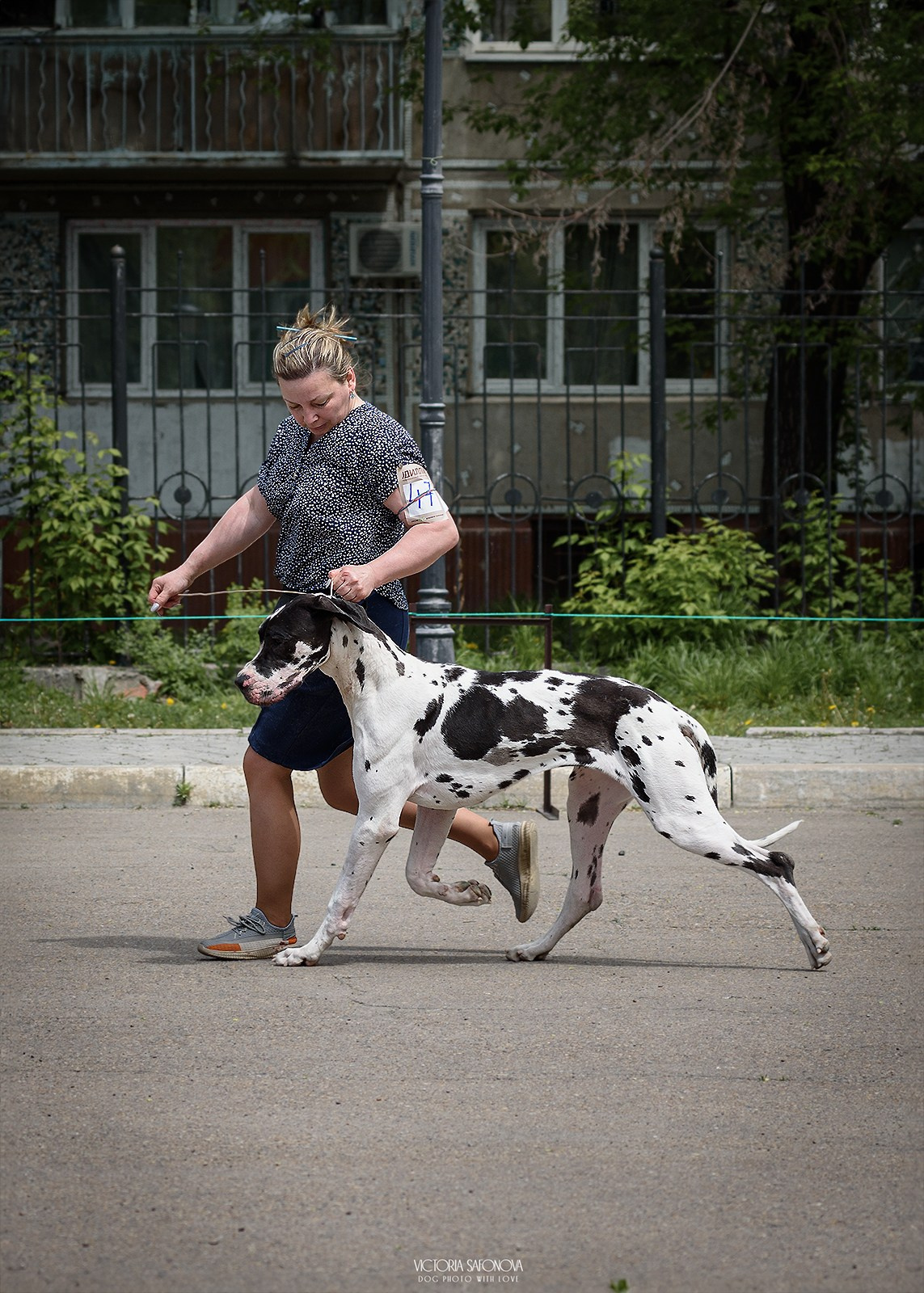 24–25 мая 2025. Благовещенск. Фотограф анималист Благовещенск. Сафонова Виктория