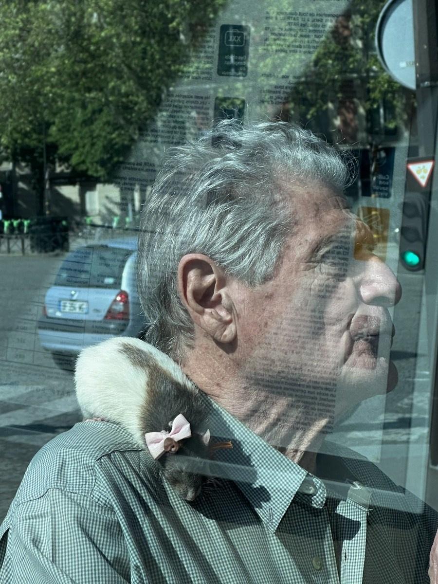 Paris. Фотограф в Москве