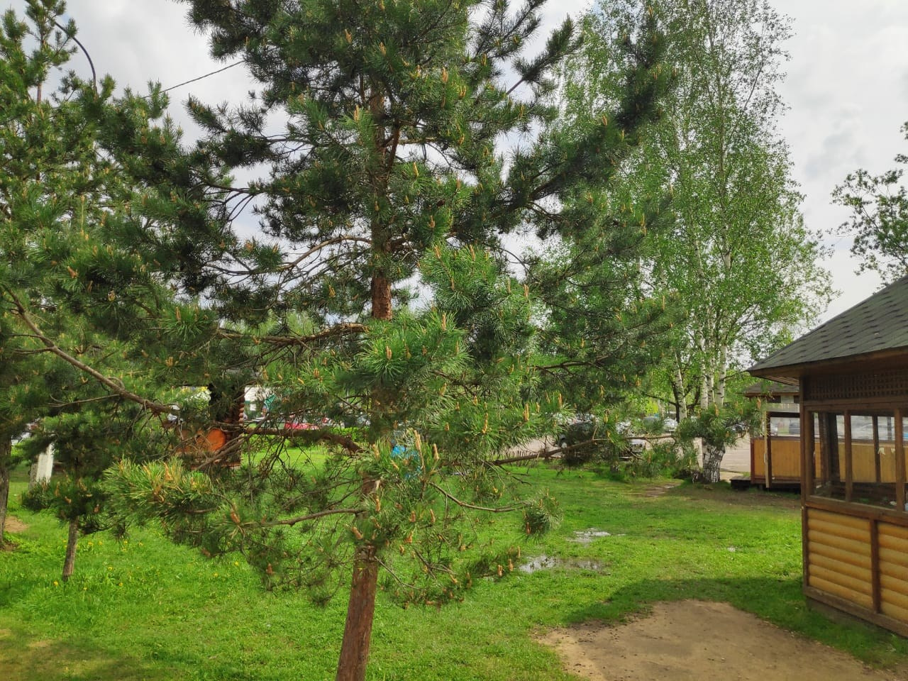 Шашлычки 10.05.2019. Галерея Фантим