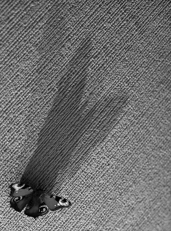 Мир вокруг. Фотограф и психолог Мария Маринова