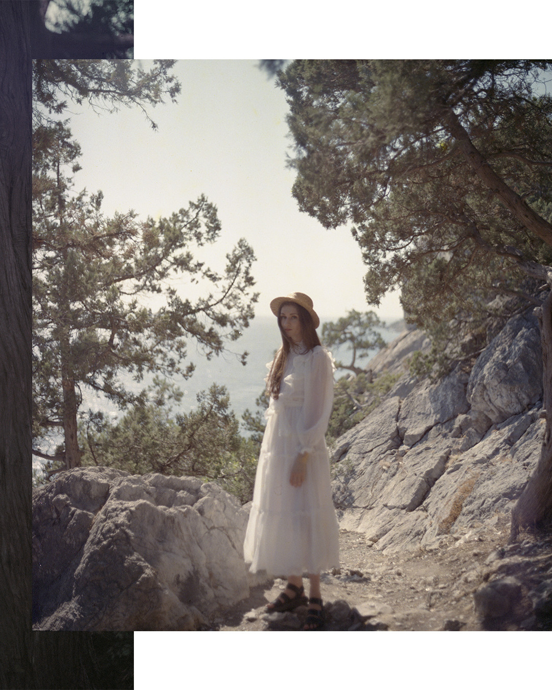 Камеры: #kiev88 #olympusmjuii #zenit122Пленки:#kodakproimage100 #ilford #kodakportra800 #redscaleПрочее:#filmphotography #films #bwphotography #120film #35mm #35mmphotography #135film #crimea #crimeaphoto #120type #135film #35mm #35mmfilm #35mmphotography #filmphotography #film #films #analogphotography i #crimea #lomography #zenit #zenitphoto #zenit122 #35mm #35mmfilm #35mmphotography #filmphotography #film #filmphoto #bwphotography #ilford #ilford400