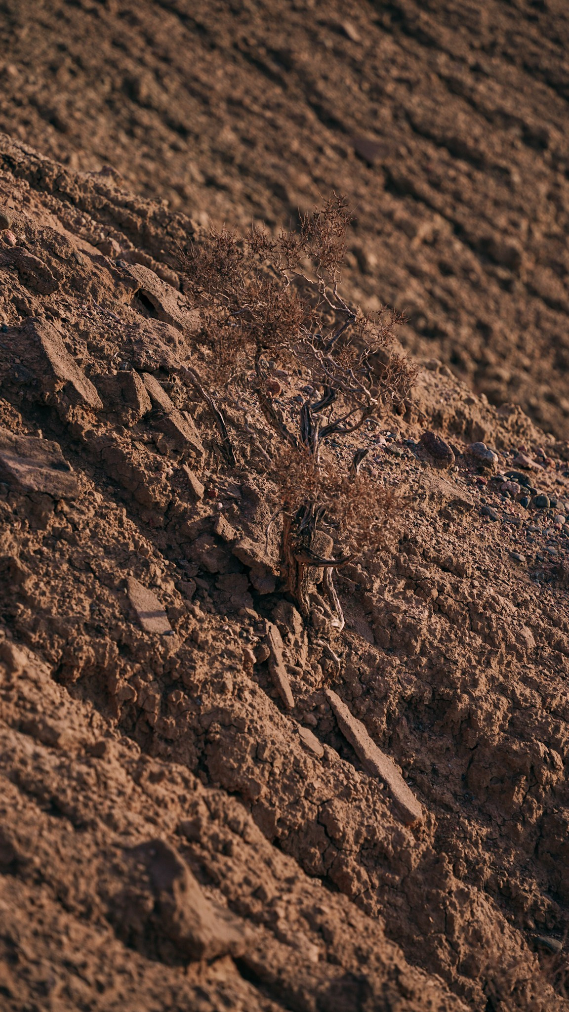 Кыргызстан. Человек с фотокамерой