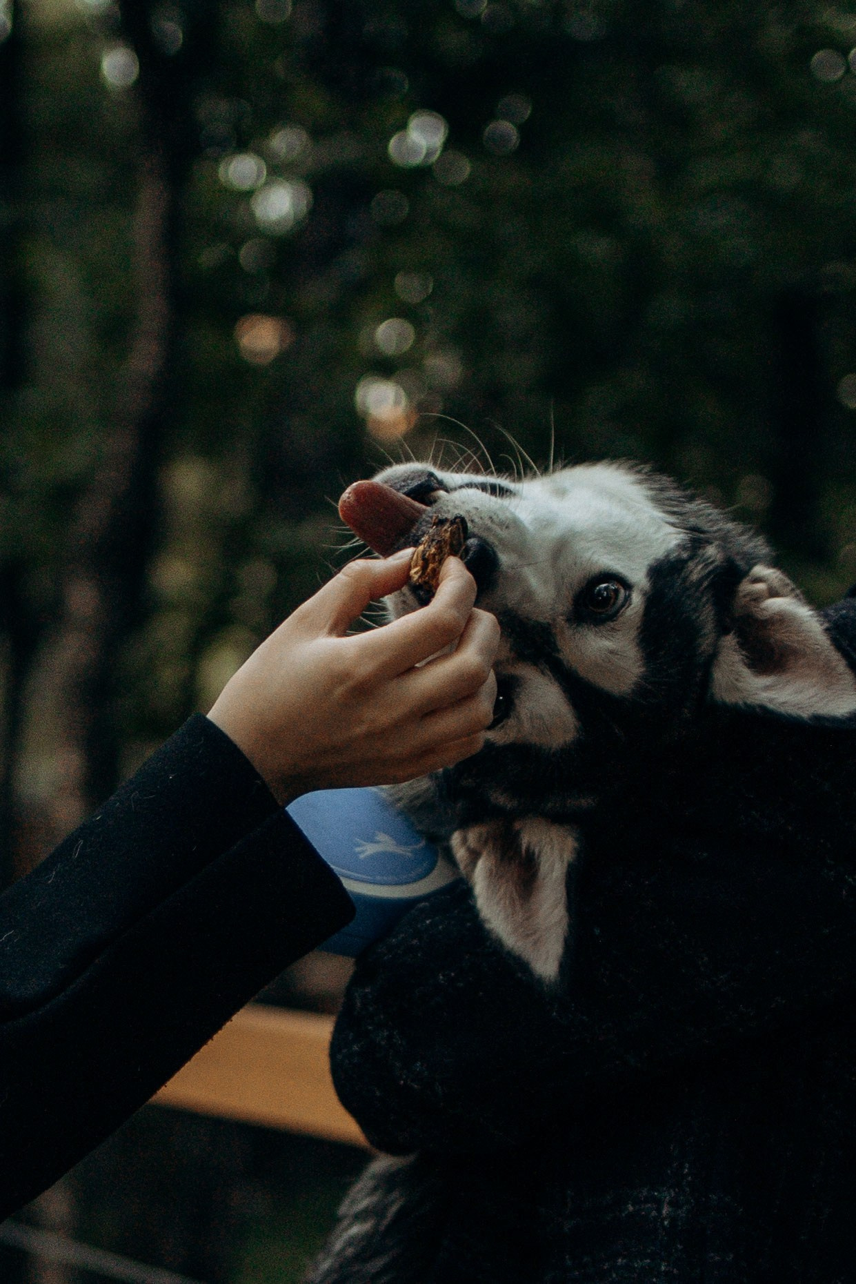 Феня и его семья