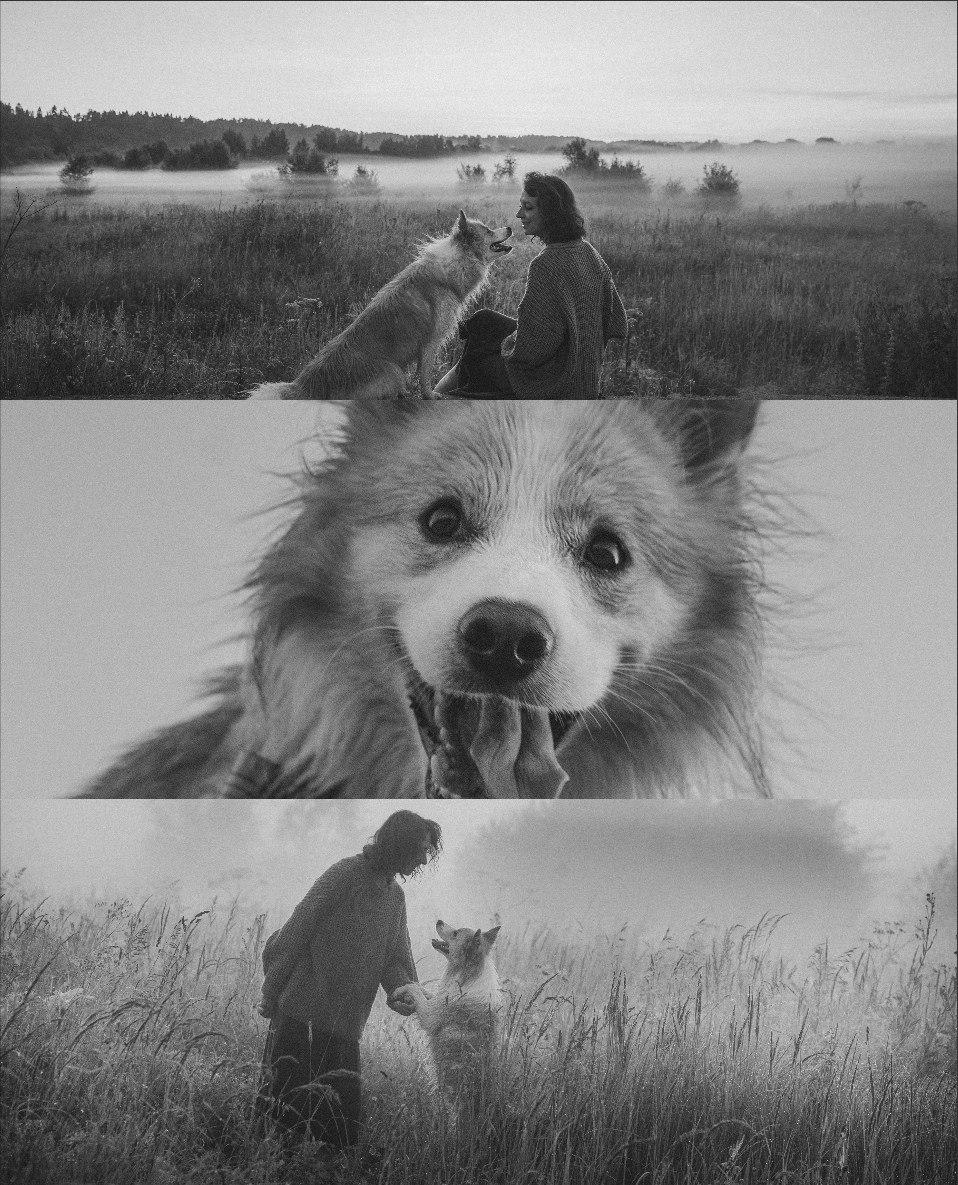 Рина и Марси. Фотограф анималист в Москве и Санкт-Петербурге Свиридова Анна