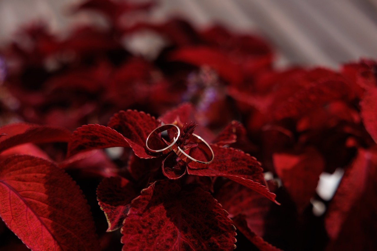 Отзывы о фотографе Марии Донцу. Семейный и свадебный фотограф в Самаре и Кинеле Мария Донцу