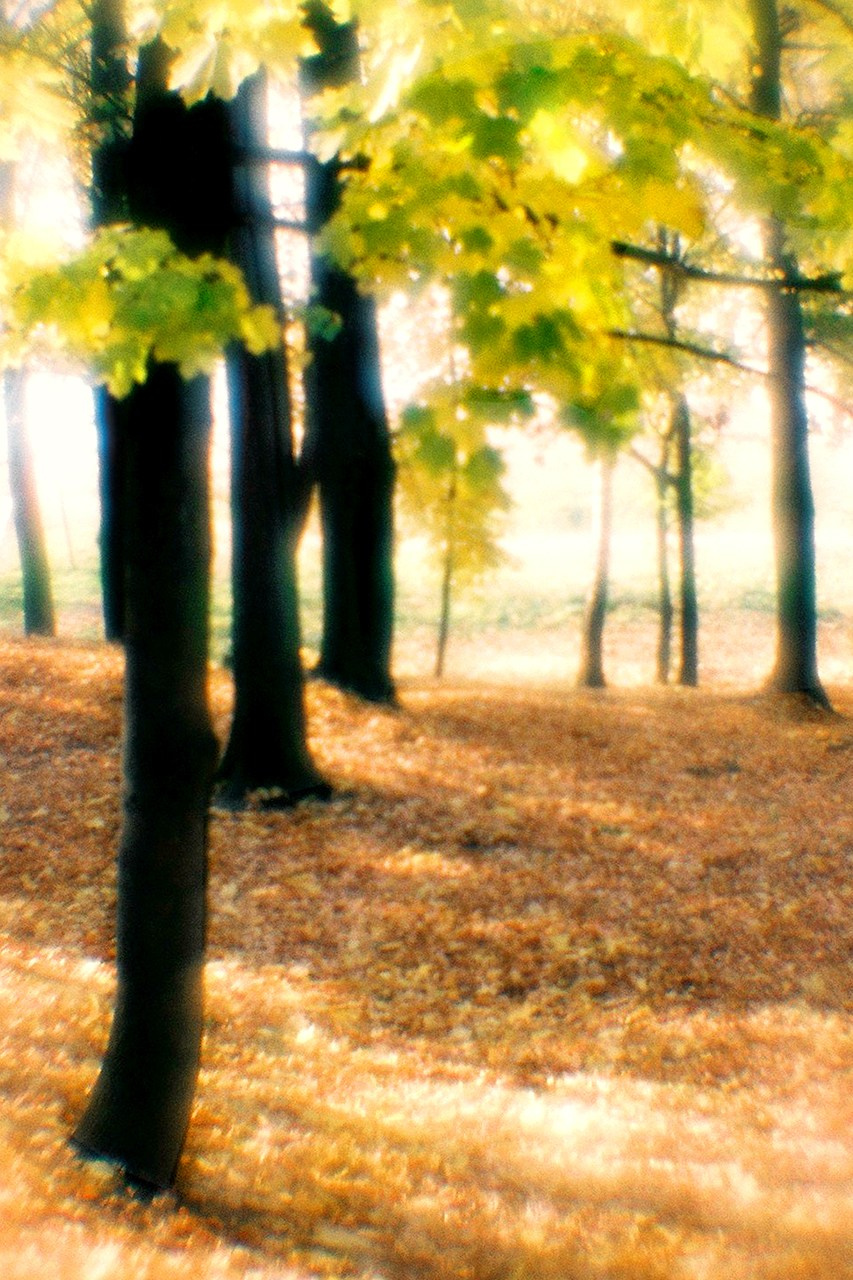 РАЗНОЕ. Андрей Пономарёв