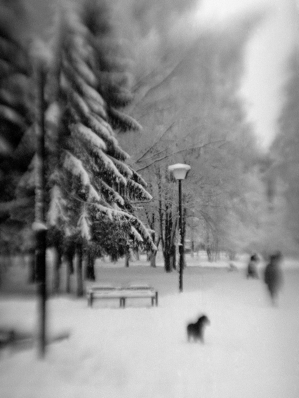 РАЗНОЕ. Андрей Пономарёв